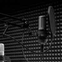 ضبط صدای منشی تلفنی