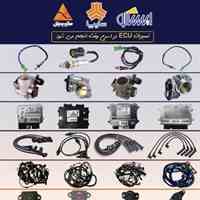 فروشگاه کروز اصلانی