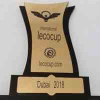 طراحی و تولید انواع تندیس با طرح دلخواه