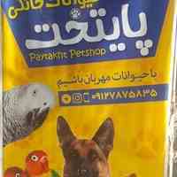 پتشاپ پایتخت