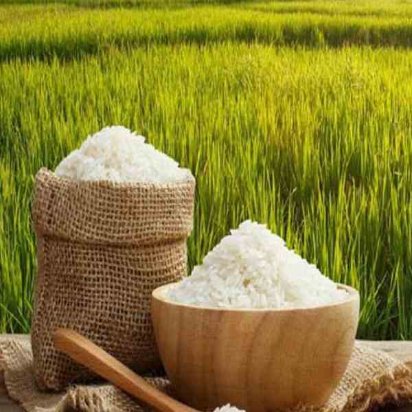 فروش برنج شمال درجه یک