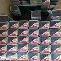 فروش خرمای کبکاب بهبهان درجه یک صادراتی