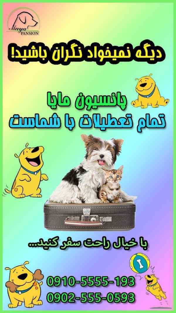 پانسیون مایا