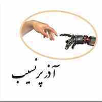 شرکت آذر پرنسیب طراحی وب سایت
