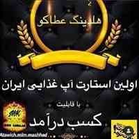 سرمایه گذاری کم، درآمد بی نظیر