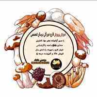 آموزش پرورش قارچ وفروش قارچ خاک و کمپوست