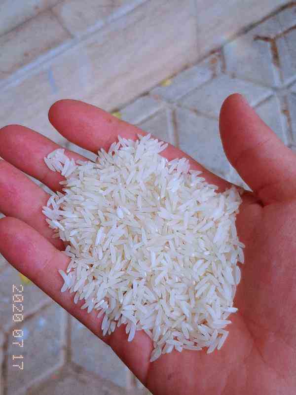 برنج ایرانی معطر اعلا،ازتولید به مصرف،کلی جزئی،زیر قیمت