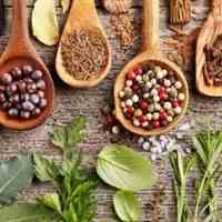 برگزاری دوره های فشرده عنبیه شناسی 