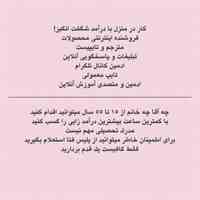 کار در منزل(اینترنتی)با درآمد بالا