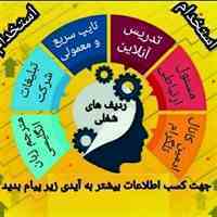 کسب درآمد در شرکت کار افرینان در فضای مجازی