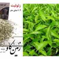 تاثیرات زئولیت در رشد گیاه (Zeolite)