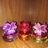 عطر و ادکلن شایسته 