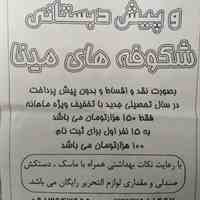 دبستان  دخترانه و پیش دبستانی شکوفه های مینا 