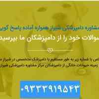 کلینیک دامپزشکی شیراز