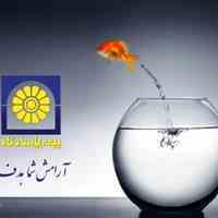 تیم منجی های فراگامان پاسارگاد