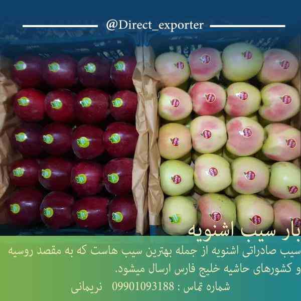 فروش سیب صادراتی مراغه
