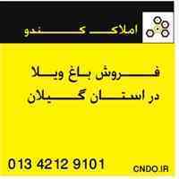 دپارتمان املاک کندو