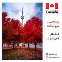 موسسه حقوقی مهاجرتی داداور نسیم مهر دادینلی