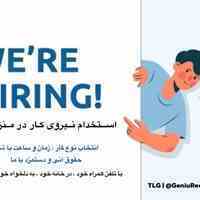 استخدام نیروی کار در منزل (پشتیبانی)