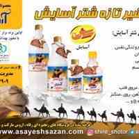 خرید شیر شتر
