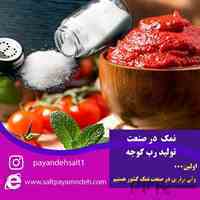 تامین نمک صنعتی وخوراکی