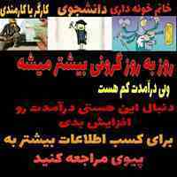 با ما به درآمد بالا برسید. شغلی متناسب با همه ی اقشار جامعه با هر شرایطی