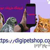 فروشگاه آنلاین دیجی پت شاپ