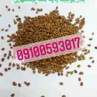 بذر یونجه نیکشهری