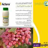 فروش سم اکتارا(actara)