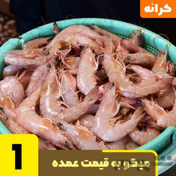 فروش انواع سایز میگو