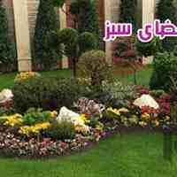 بهترین گل فروشی 