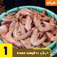 فروش انواع سایز میگو