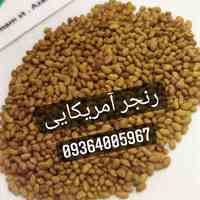 تولید کننده و صادر کننده انواع بذر یونجه بوجاری شده در شمال غرب کشور 