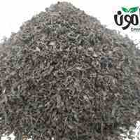 چای سرگل بهاره ممتاز دامون لاهیجان