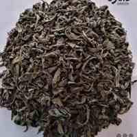 چای سبز دامون لاهیجان 