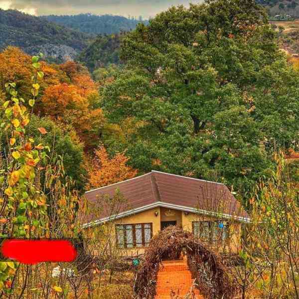 اجاره روزانه ویلا در مازندران بهشهر روستای رودبار با ویو عالی رو به جنگل