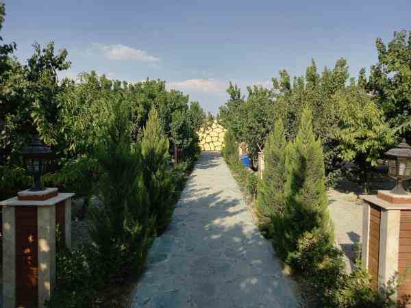 دو قطعه باغ آباد با درختان مثمر قدیمی در  شهریار