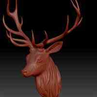 طراح زیبراش