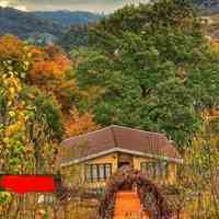 اجاره روزانه ویلا در مازندران بهشهر روستای رودبار با ویو عالی رو به جنگل