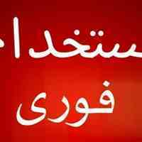 استخدام نیروی کار جهت کاردورکاری و آنلاین در شرکتی معتبر