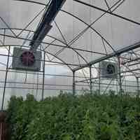 کولر تبخیری آکسیال سرماسان