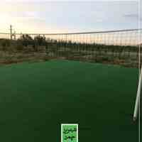 چمن مصنوعی و دیوار سبز