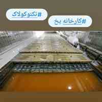 کارخانه یخ