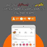 خرید انلاین مرغ مکتوس در مشهد 