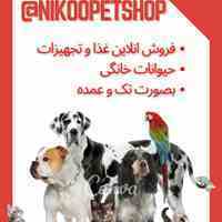 فروش عمده و تک  لوازم و تجهیزات حیوانات خانگی