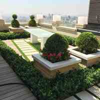 طراحی و اجرای روف گاردن