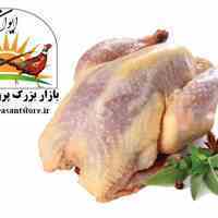 فروش عمده گوشت قرقاول