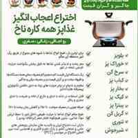 غذاپزهمه کاره، ناخ محصول مشترک ایران وآلمان، تکنولوژی پیشرفته، ثبت اختراع جهانی