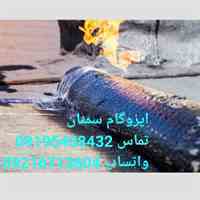 ایزوگام