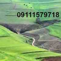 فروش زمینهای هکتاربالا کشاورزی مازندران 